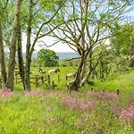 Whitehill - Uk47194 Kirkcambeck