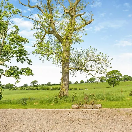 Whitehill - Uk47194 別荘