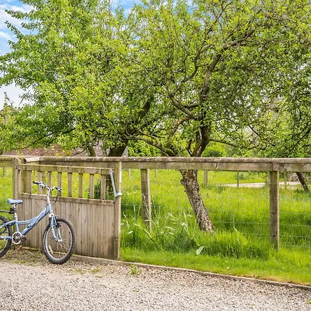 Ferienhaus Whitehill - Uk47194