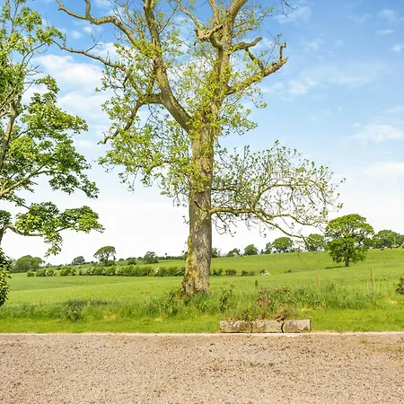 Whitehill - Uk47194 *