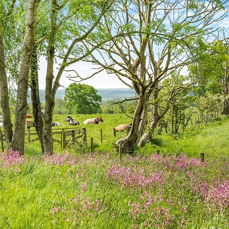 Whitehill - Uk47194 Kirkcambeck